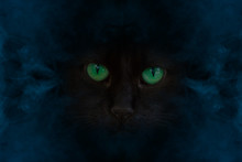 Portrait Of A Wild Black Cat With Big Green Eyes Close Up Around A Mystical Blue Cigarette Vapor