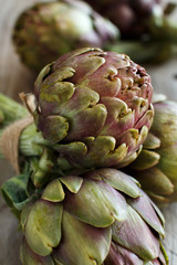 Raw italian artichokes