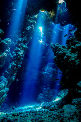 Wall Mural - Caves of the Paradise reef at the Red Sea, Egypt