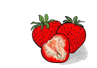 strawberry, food, berry, fruit, fresh, ripe, organic, sweet, tasty, juicy, red, dessert, leaf, green, delicious, natural, raw, half, slice, vector, illustration, vegetarian, health, nature, group, par