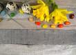 Quail eggs with spring decoration for easter with narcissus/daffodils at wooden background
