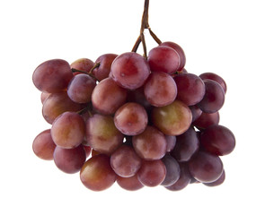 Canvas Print - bunch of grapes isolated on white background