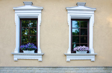 Two windows and two pots with flowers on the windowsills