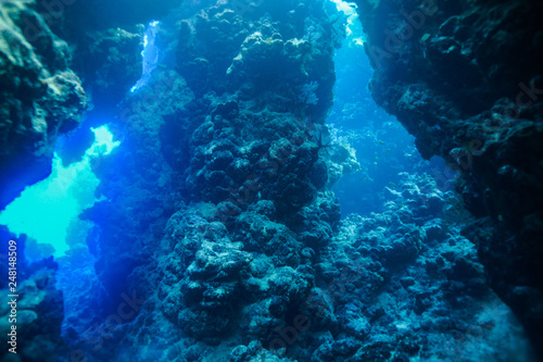 Obraz Dibond Jaskinie Claudia Reef na Morzu Czerwonym, Egipt