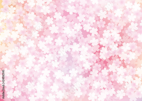 桜 花 和風 満開 背景 グラデーション ピンク Stock Vector Adobe Stock