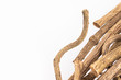 Dried stems of valerian - Valeriana officinalis. Text space