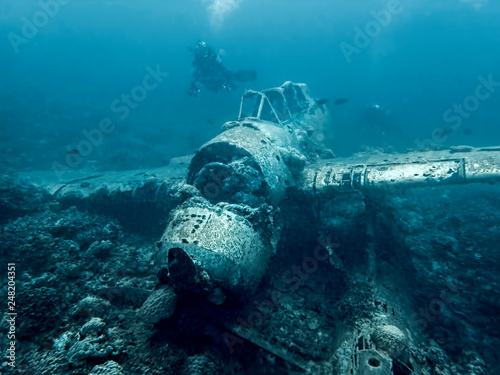 Cuadros en Lienzo Jake Seaplane Wreck Underwater on Ocean Floor