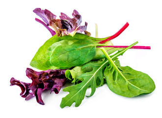 Wall Mural - Salad leaves mix with rucola, red  lettuce, spinach and  chard, leaf isolated on white background.