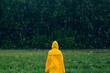 Girl in yellow raincoat standing in middle during rainfall in front of coniferous forest on rainy, foggy day. Travel lifestyle concept vacations outdoor. Child looks deep into at forest in distance