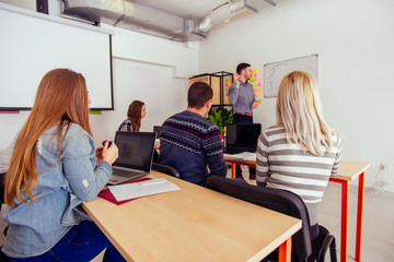 Wall Mural - Students studying in school