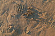 Ślady na piasku