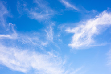 Wall Mural - Clouds on a blue sky as background
