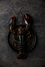 Fresh Raw Live Lobster On Plate On Black Background