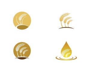 Agriculture wheat logo template vector icon design