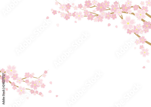 桜のある春の風景のイラスト 白背景 横長の書式で横書き用 Buy This Stock Vector And Explore Similar Vectors At Adobe Stock Adobe Stock