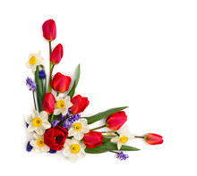 Decoration Of Women's Day Or Mother's Day. Beautiful Red Tulips, Narcissus, Hyacinths And Flowers Muscari On White Background With Space For Text. Top View, Flat Lay