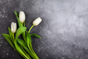 Beautiful white tulips flowers for holiday.