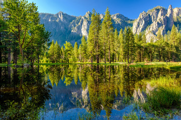 Wall Mural - Cathedral Rocks reflecting in Merced River at Yosemite