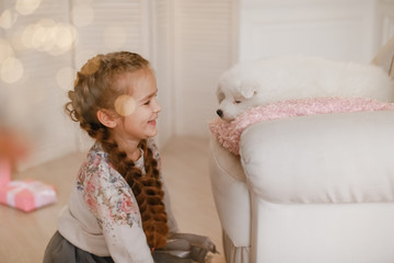 Wall Mural - Child girl is holding puppy on her hands near pink the gift boxes