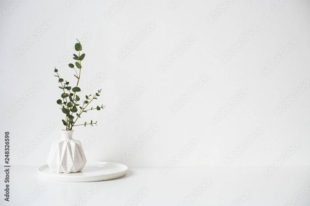 Eucalyptus branches in white ceramic vase on empty wall background - obrazy, fototapety, plakaty 