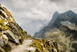 Fototapeta  - Ścieżka w górach szlak turystyczny nad urwiskiem w Tatrach w Polsce