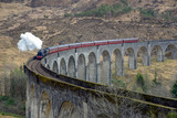 Fototapeta Most - glenfinnan viadukt with steam train