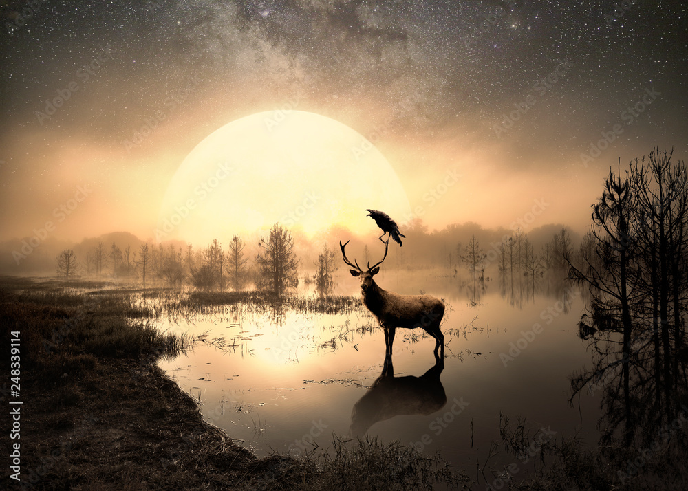 Surreal photo of a deer in a lake - obrazy, fototapety, plakaty 
