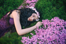 Warm Bright Colors, Sleeping Flower Sorceress, Fairy With Wavy Dark Long Hair, Delicate Wreath, Gorgeous Purple Dress With Bare Shoulders Lying On Fresh Green Grass, Morning Flowers Summer Artwork