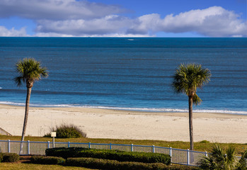 Poster - Palm Trees at Beach