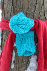 winter scarf and hat tied to tree for the homeless