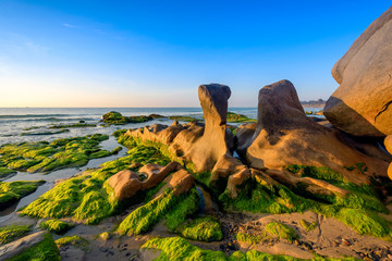 Wall Mural - Sunrise on beach named Co Thach in Binh Thuan province, Vietnam.