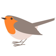 Robin Bird,vector Illustration ,flat Style, Profile