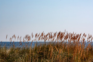 Wall Mural - Niendorf