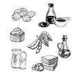 Hand drawn set of soy products. Vintage vector sketch