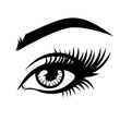 Eyelash extension logo. Vector illustration of eye with eyelashes for beauty salon, lash extensions maker. .
