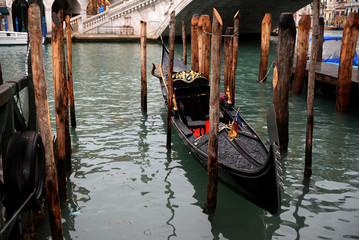 Venezia