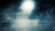 © Laura Сrazy - Background scene of empty street. Night view of the river, night sky with clouds, silhouettes of trees, light reflected on water. Smoke fog