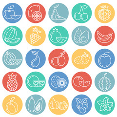 Poster - fruit icons set on color circles white background for graphic and web design, modern simple vector s