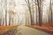 © e_polischuk - Path in city park on a cold and foggy November morning