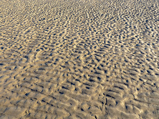 texture of sand