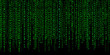 Matrix green on black background.Computer virus and hacker screen wallpaper