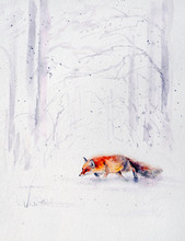 Winter Scene From The Wild Nature- Red Fox Running  In White Snow. Picture Created With Watercolors.