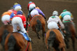 Horse racing action from behind