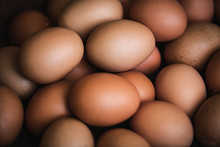 Brown Organic Free Range Eggs