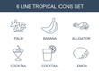 © HN Works - tropical icons