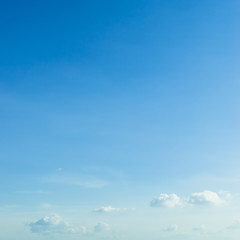 Wall Mural - clear blue sky