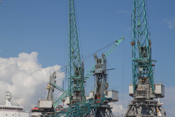 Cargo ship-lifting cranes in the harbor, industrial zone