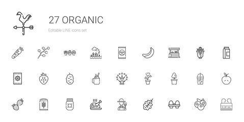 Canvas Print - organic icons set