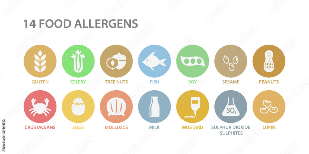Food allergens white icons in pastel colorful circles. 14 food allergens vector circle icon set. Peanut, gluten, lactose soy allergy icons. Menu list of allergies. - obrazy, fototapety, plakaty 