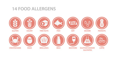 14 food allergens menu list circle icon set. Food allergen white icons in pink circles. Gluten, eggs, milk, nuts allergy vector icons.